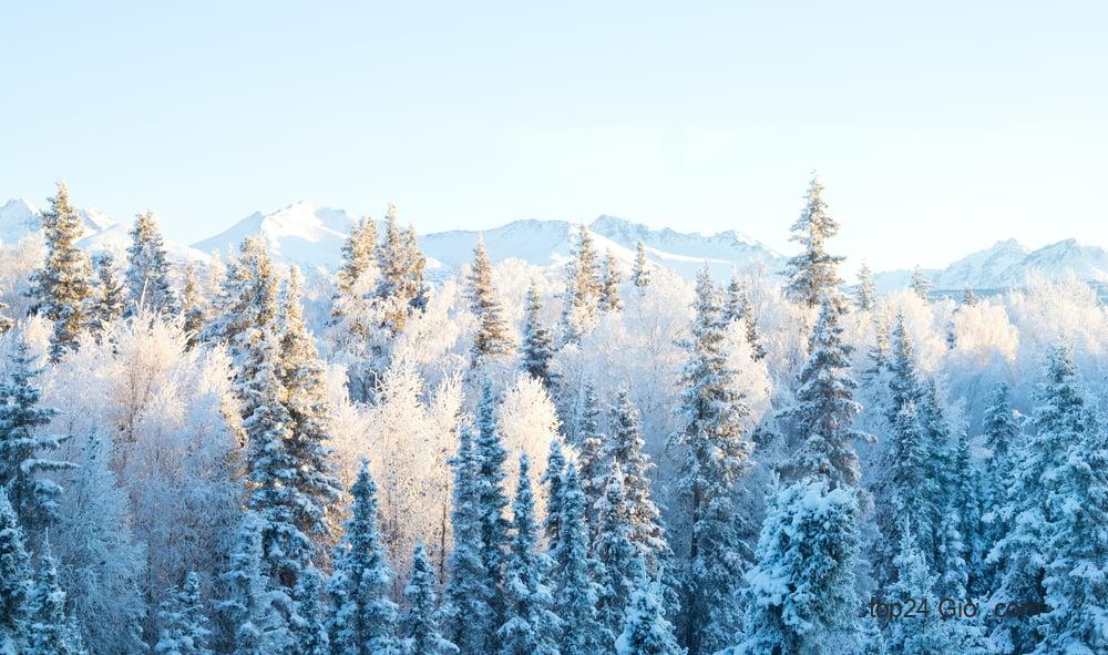 Alaska - những nơi tốt nhất để ghé thăm vào tháng 12