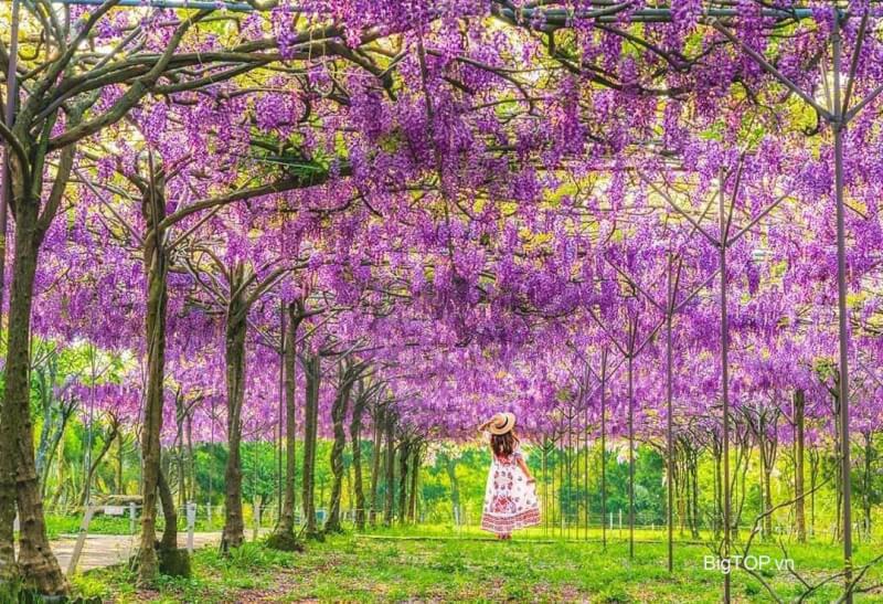 Top 20 hình ảnh Khu Vườn Hoa đẹp nhất thế giới - Big TOP Việt Nam