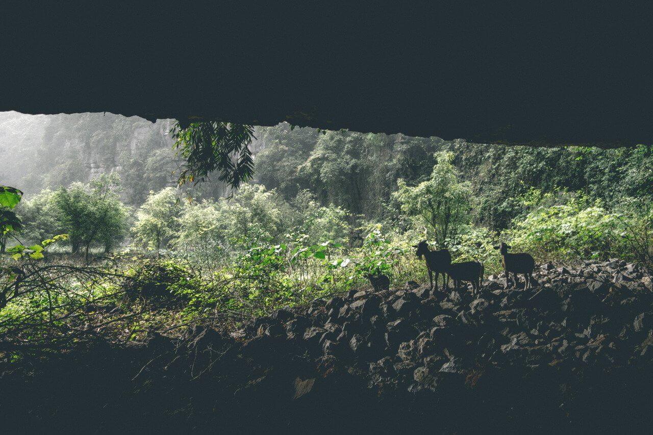 Đây là một trong số ít hang động để khám phá quanh khu vực Hang Múa.  Thành thật mà nói, không ấn tượng bằng góc nhìn từ điểm quan sát.