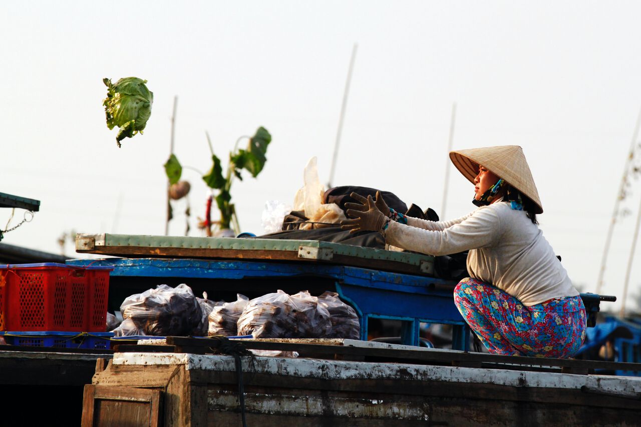 Một phụ nữ Việt Nam ném bắp cải qua thuyền ở Đồng bằng sông Cửu Long, Việt Nam